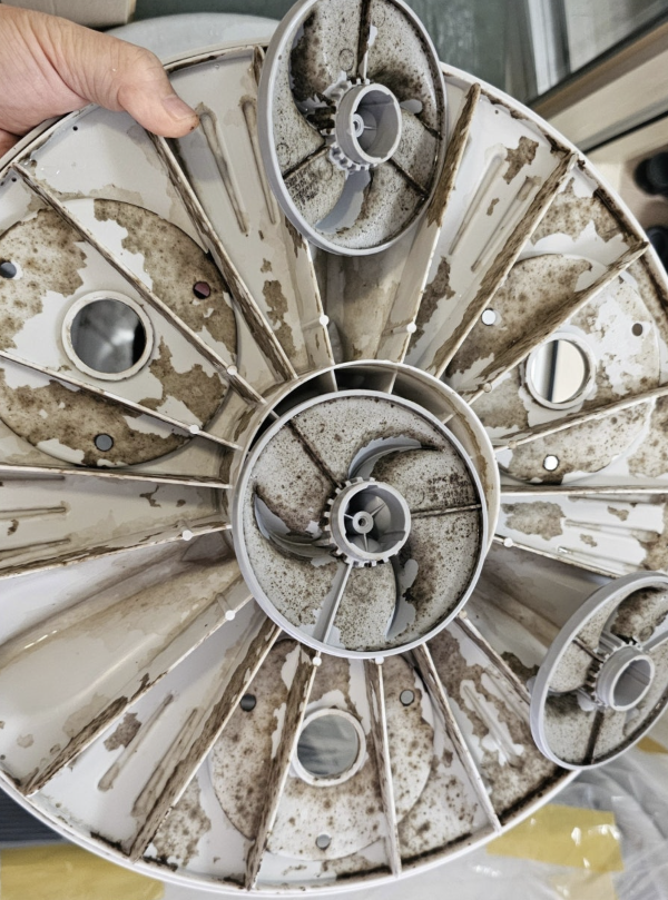 대구세탁기청소 - 세탁조 내부 곰팡이 오염 실태 사진