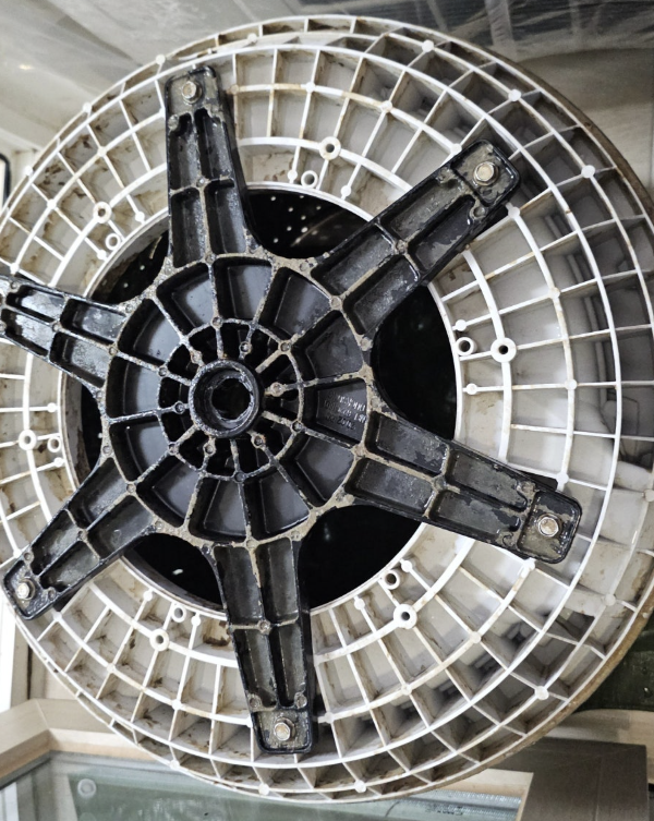 대구세탁조청소 - 세탁조 뒷면 오염물 사진